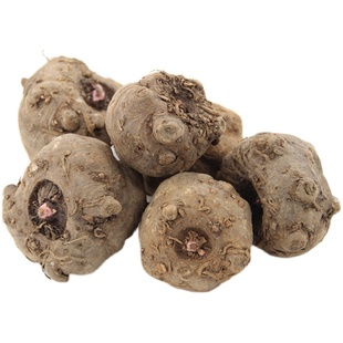 云南魔芋种子一代二代花魔芋魔芋种粒新鲜魔芋种脱水消毒花魔芋种