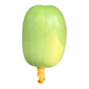 迷你玉女黄瓜种子水果黄瓜苗金童小黄瓜种籽阳台盆栽种孑蔬菜四季