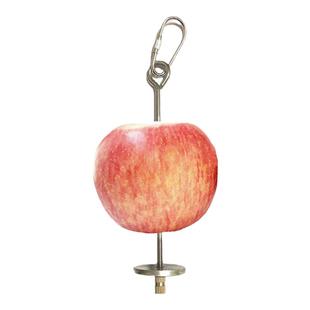 鹦鹉鸟用蔬果夹子鸟笼水果叉不锈钢多用途方便夹菜谷穗夹 鹉福