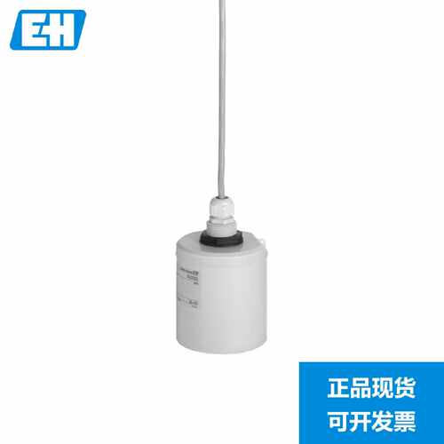 议价EH超声波液位计探头 FDU92-RG2A 恩德斯豪斯EndressHauser 现