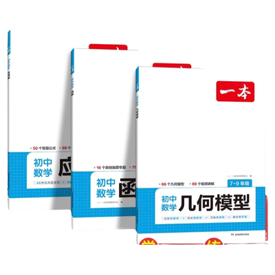 初中数学几何模型数学函数应用题