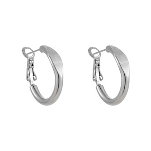 章若楠同款银色圈圈耳环女2026新款爆款高级感轻奢素圈耳钉耳饰冬