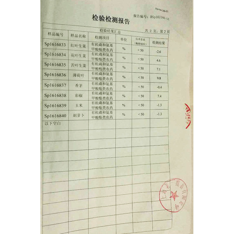 老一特卖 新鲜 沙拉菜 苦菊 苦叶 苦苣 苦菜生菜 500克