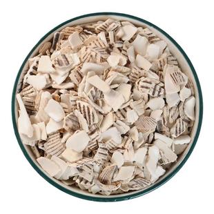 瓦楞子中药材中草药材散装生蚶子新货壳毛蛤粉毛蚶毛蛤壳干货