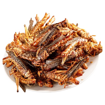 山东特产香酥蚂蚱油炸即食酥脆蝗虫香辣孜然高蛋白昆虫子下酒零食