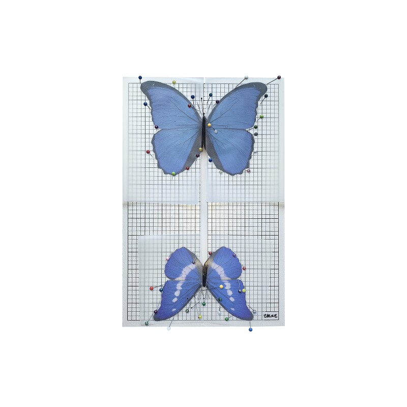 蝴蝶标本展翅板固定昆虫插针整姿diy制作工具材料包学生校园活动