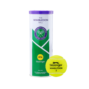 Slazenger史莱辛格网球温网比赛专业铁罐豹子球有压4粒耐打3粒