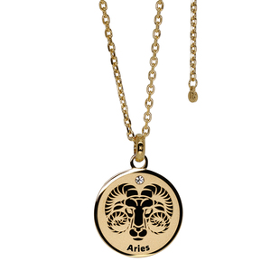 RAWNESS 双鱼座杠铃片项链 星座款健身白羊金牛 送男友送女友礼物