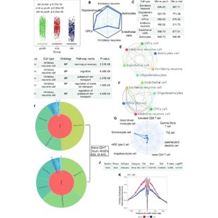 生物信息学课程生信分析视频教程TCGA数据分析GEO教程生信讲座