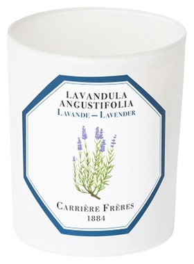 CARRIEREFRERES植物学家香氛烛