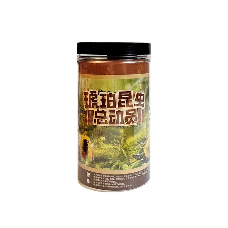童心灿烂琥珀考古挖掘玩具
