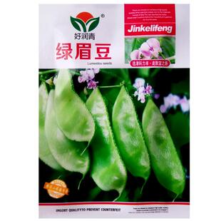 绿眉豆种子绿荚蛾眉豆菜豆青扁豆种籽春秋播种农家庭院蔬菜种子孑