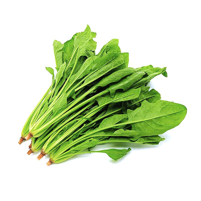 新鲜蔬菜菠菜农家蔬菜