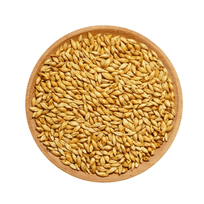 炒麦芽中药材500g麦芽中药材麦芽回奶茶断奶泡水熟麦芽山楂大麦茶