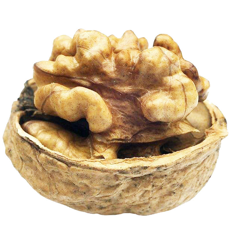 新货云南野生薄壳山核桃