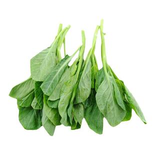 芥兰苗新鲜上海小芥兰苗芥兰头苗 芥兰菜心酒店食材任搭五件包邮