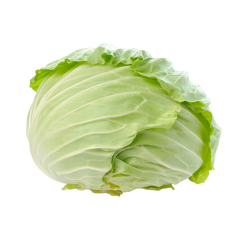 新鲜扁包菜现摘当季蔬菜