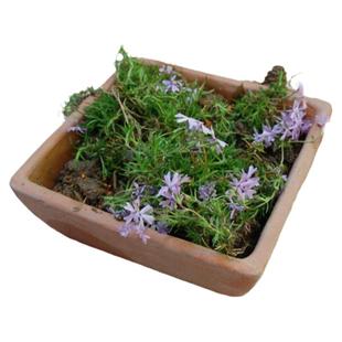 方盆绿植托盘四方花盆粗陶做旧北欧风格方形红陶盆泥瓦盆大小盆