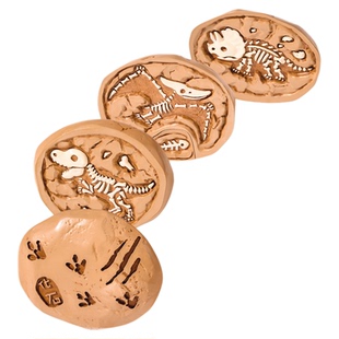 国家自然博物馆中生代骨迹多层冰箱贴恐龙仿化石生日新年马年礼物