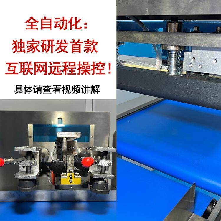 600自动打包贴标包装机 冷冻海鲜装袋套袋打包机 休闲食品包装机