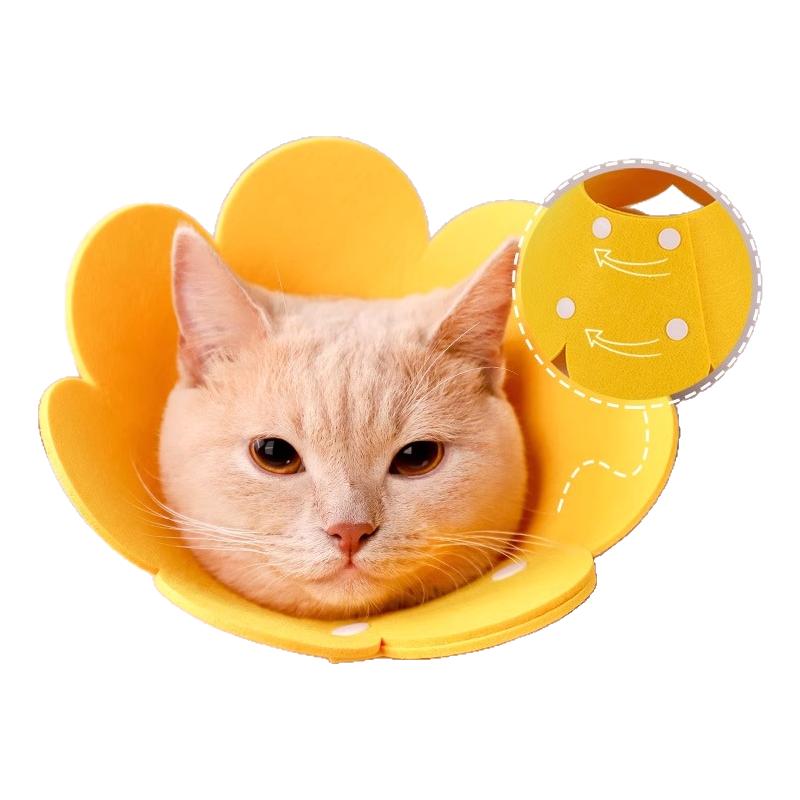 日本黑科技伊丽莎白圈猫咪绝育