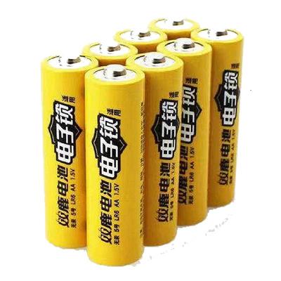 双鹿指纹锁专用电池5号防漏液