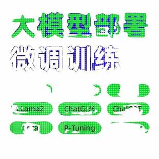 python代编程大模型微调训练Llama2环境配置代码 代跑深度学习指导