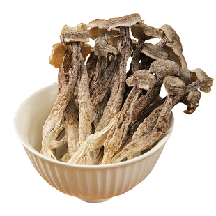 新鲜菌菇鹿茸菇干货非特级野生鹿茸菌农家特产煲汤脆脆菇蘑菇香菇