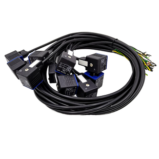 电磁阀液压阀防尘防水带灯带线A型插头AC/DC24V4A一体接线浇筑12v