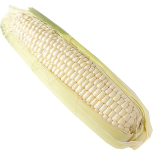 甜糯182白色甜玉米种籽甜糯水果种子四季超甜粘农家糯春季夏种孑