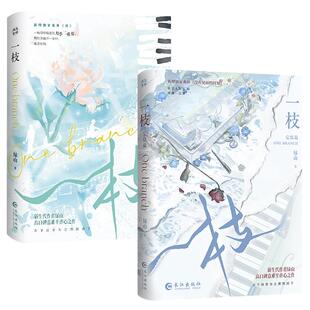 全新正版】一枝套装2册完结实体书 绿山BE美学代表作晋江文学双男主新增 没有见面的时刻番外 青春言情畅销书酷威图书专营店