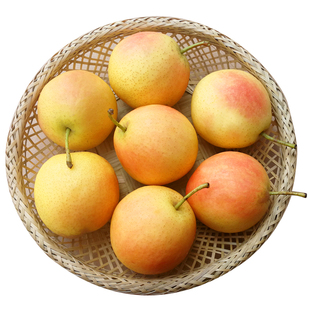 鞍山南果梨5斤小香水梨子新鲜水果当季红南国梨冻梨东北特产包邮