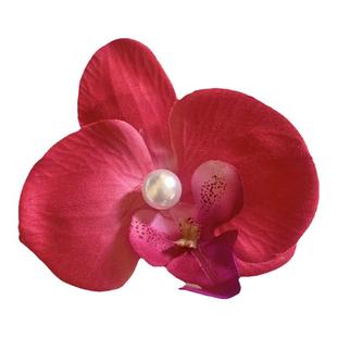 2025爆款鸢尾花蝴蝶兰珍珠发夹超仙气早春刘海夹后脑勺盘发抓夹女