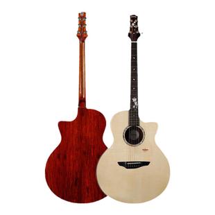 大树音乐屋 楚门落樱 黑羽 锦鲤 桑托斯 爬山虎 面单全单民谣吉他