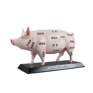 仿真猪肉分割示意图模型摆件生鲜猪肉店烤肉店摆件黑猪摆设