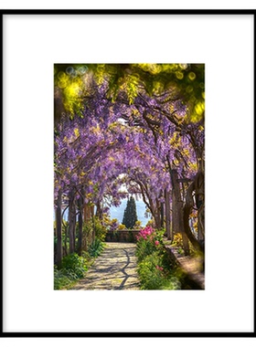 YELLOW KORNER法国原装进口《The Enchanted Garden》茶室装饰画