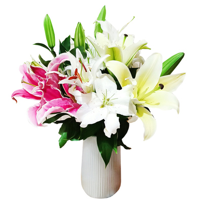 香水百合花鲜花云南直发基地直批鲜切花水养小雏菊向日葵尤加利