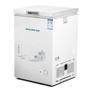 海浪一级节能小冰柜家用全冷冻小型迷你省电保鲜冷藏冷冻两用冷柜