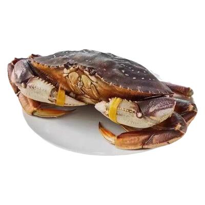 鲜活珍宝蟹太子蟹活体松叶长脚面包帝王皇帝蜘蛛梭子蟹公蟹