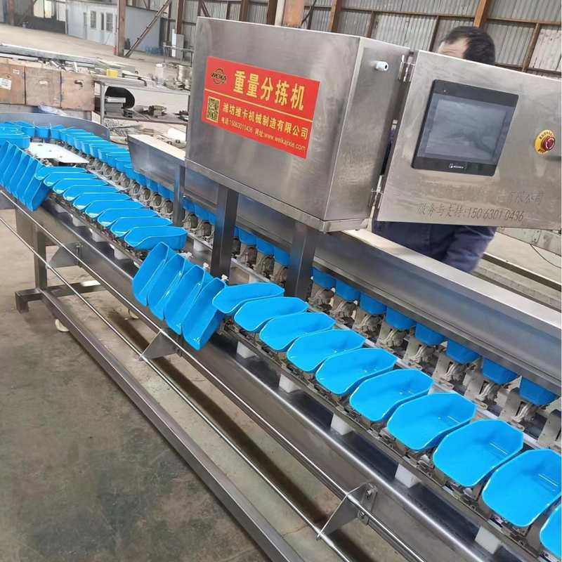 鸡腿多级重量分选机龙虾分拣机肉类分级机全自动熟肉高精度称重,清洗/食品/商业设备,选果机/分选机,淘宝优惠券,粉丝福利购,淘宝优惠卷