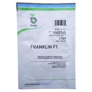 孢子甘蓝菜种子种籽卷心包心甘兰抱子蔬菜种孑四季盆栽籽苗秋冬季