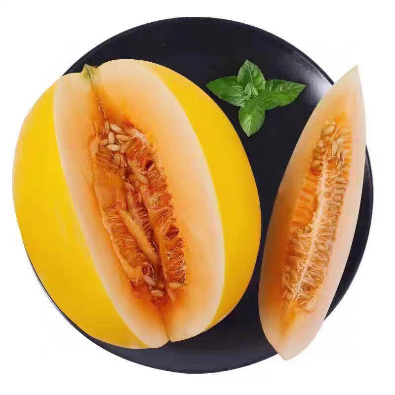 助农沙漠黄河蜜瓜冰淇淋软糯香甜