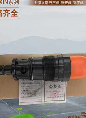 议价DR5DP2-10/31.5XY DR5DP3-10/15XY DR6DP1-L5X/1立新直动式减