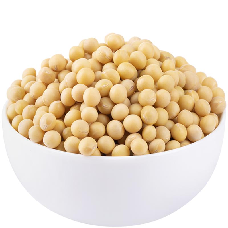 【规格齐全】发芽黄豆小黄豆炒菜水培芽苗菜纳豆原材料小粒黄豆