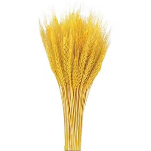 天然黄金麦穗开业大麦干花满天星田园装饰摆件招财家居摆件花篮