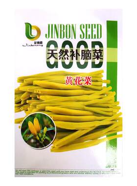 黄花菜种子种籽菜金针菜