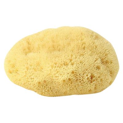 天然海绵绘画插画良品