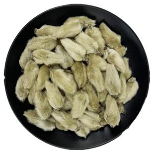 辛夷花中药材香料新鲜辛夷望春花紫玉兰花非野生粉干可搭菖蒲苍术