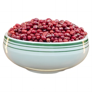 东北红小豆五谷杂粮新豆子大粒红豆熬粥营养豆浆赤豆粗粮小红豆