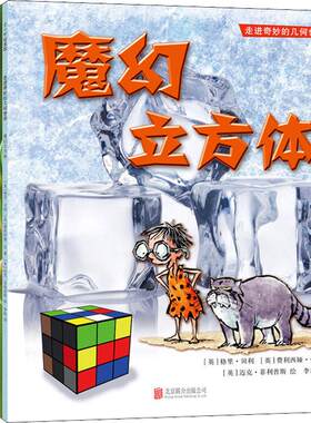 走进奇妙的几何世界全6册